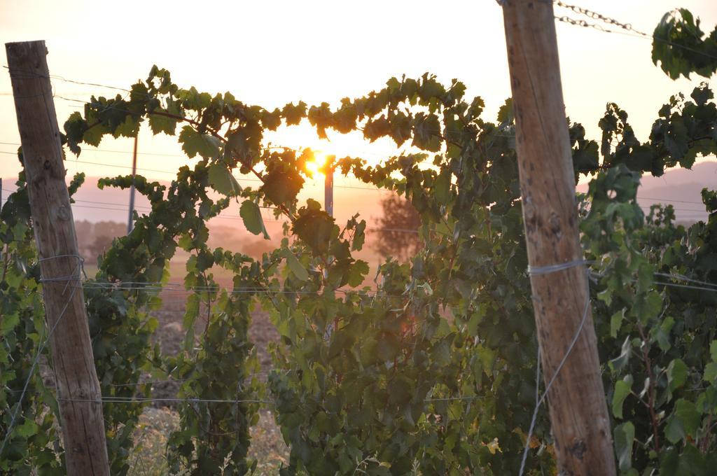Morami Wine Agriturismo Panicarola Exterior photo